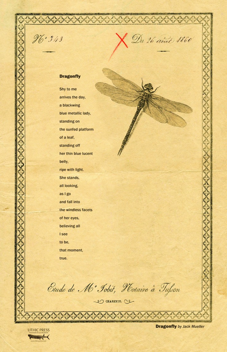 Jack Mueller Dragonfly Broadside.jpg